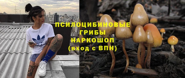мяу мяу мука Абинск