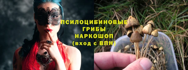 амф Абаза